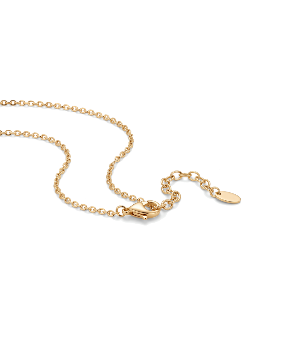 Lobster clasp and extender chain with plain oval tag